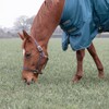 Shires Typhoon 200 Mediumweight Waterproof Turnout Rug - Green