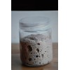 SAN FRANCISCO WHARF SOURDOUGH sourdough starter yeast from the "WHARF"