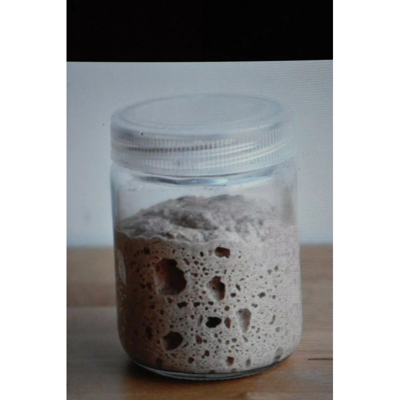 SAN FRANCISCO WHARF SOURDOUGH sourdough starter yeast from the "WHARF"