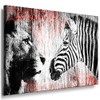 Julia-Art - Pictures Zebra, Lion Canvas with Stretcher Frame 40