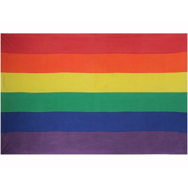 Sunshine Joy Gay Pride Tapestry - Beach Sheet - Bedspread - Window Hanging (60X90 inches)
