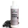 Charcoal Cleanser - Daily Face Wash, Sulphate-Free, Provides Deep Detoxifying