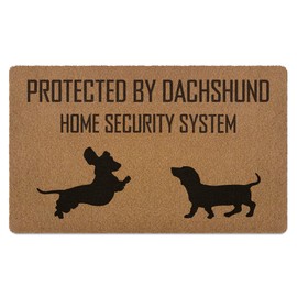 WTOGQ Dachshund Door Mat, Dog Welcome Mat, Funny Protected by Dachshund Home Security System Coir Door Mats Outdoor Indoor Outside Entrance, DachshundGifts for Women Dog Lovers Doormats 17X29 Inch