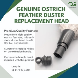 OfficeGear Genuine Ostrich Feather Duster Replacement Head with ACME fitting