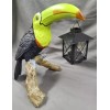 Pier 1 Polly Toucan Lantern Pier One - Tropical Birds