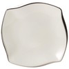 Narumi 50554-5249 Forte Platinum, 5.1 (4.3) inches (13 cm) Plate,