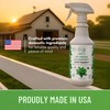 Minty Spider Repellent, Natural 5% Peppermint Oil Spray, Kills &