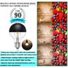 KarlunKoy Half Chrome Light Bulbs,Dimmable 6W (Eqv.60W) LED Edison Bulbs,Soft