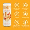 Huxley Energy Drink, Mango Mesa Superfruit Energy Drink, All Natural,