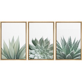Ashbrook Framed Canvas Print Wall Art Set Green Desert Cactus Succulent Variety Nature Wilderness Photography Modern Art Minimal Chic Colorful for Living Room, Bedroom, Office - 16"x24"x3 Natural