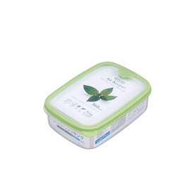 Iwasaki Industry Antibacterial Storage Container Air Keeper Food Case 2.9 fl oz (860 ml) (M) Green A-031 SG