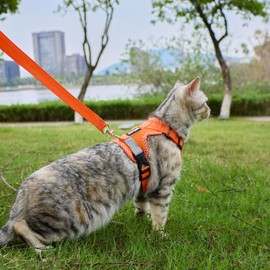 pangdi Cat Harness and Leash Escape Proof Large Kitten Harness Ragdoll Cat Vest for Walking Travel, Orange, L