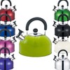 Premium Stainless Steel Whistling Kettle | 10 Colors | Stove