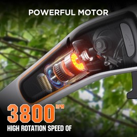 Litheli U20 Cordless Pole Saw for Tree Trimming, Battery Powered Pole Saw with 8-Inch Cutting Bar & Chain, Lightweight Electric Pole Chainsaw for Branch Cutting With 2.5Ah Battery & 65W Charger