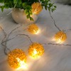 LED Light String Innovative Iron Wire Round Ball String Lights