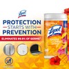 Lysol Disinfecting Wipes, Mango & Hibiscus, Pack of 6, 80ct