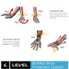 Level Fly Trigger Snowboard Gloves with BioMex Wrist Guards, Membra-Therm