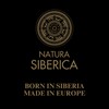 Natura Siberica Siberian Stag Power Anti-Dandruff Shampoo for Men, 250