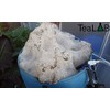 FishBalls: Dissolving Pouches of Fish Hydrolysate Powder (12-1-1) (10, Large)