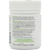 Synergy Natural Organic Chlorella Powder 100g