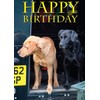 Fox Red and Black Labrador Dog Birthday Card