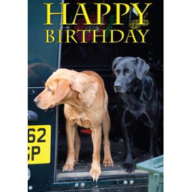 Fox Red and Black Labrador Dog Birthday Card