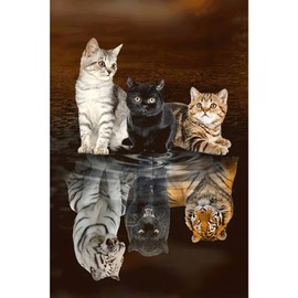 Jigsaw Puzzles 1000 Pieces for Adults - Three Cats Reflection - Wooden Puzzle - Unique Holiday Gift Suitable for Teenagers and Adults (75x50cm)