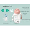 Beaba Straw Sippy Cup, Sippy Cup with Removable Handles, Sippy