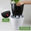Dexceder 13x12 Self Watering Planter with Wheels Indoor Outdoor, Inner