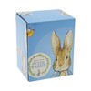 Beatrix Potter Jemima & Foxy Figurine