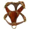 Beautiful Tan Leather Dog Harness Large with Staffordshire Bullterrier Head