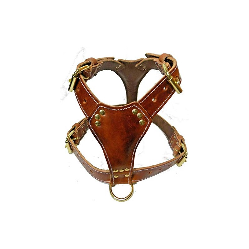 Beautiful Tan Leather Dog Harness Large with Staffordshire Bullterrier Head