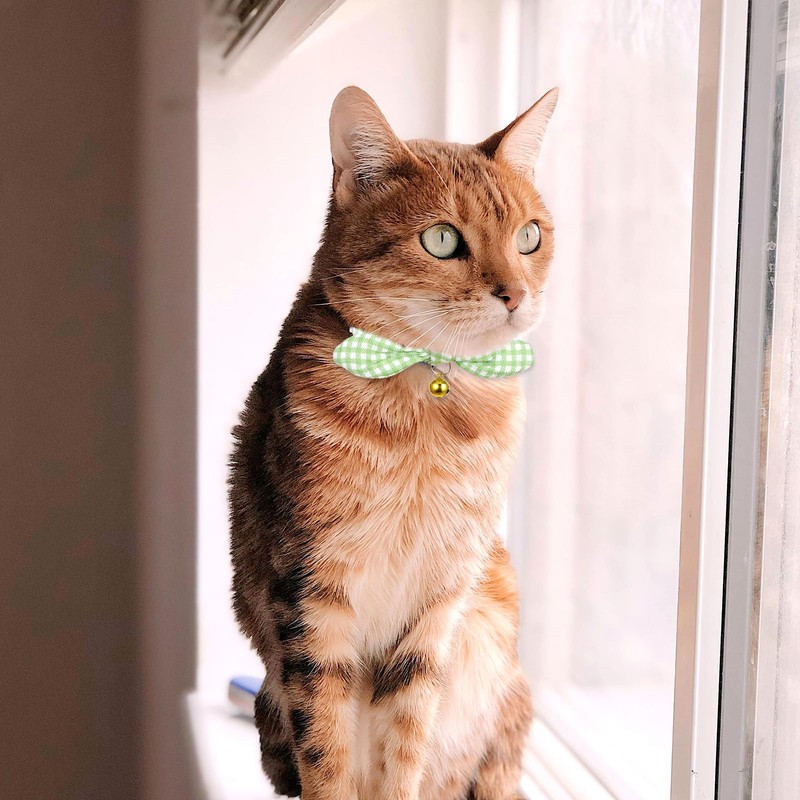 Tucnoeu Pack of 2 Cat Collars with Removable Bow, Adjustable