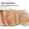 Indie Palm 10 Inch Square Disposable Palm Leaf Plates –