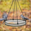 FoldTier 2 Pieces Universal Wild Bird Seed Catcher Hanging Hoop