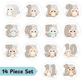 Owl Monthly Baby Stickers, Baby Milestone Stickers, Woodland Owl Design, 14 Piece Set, 4x4 Inch Circle Photo Prop Labels with Storage Pouch, First Year, Album Keepsake