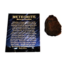 Fossils, Meteorites, & More Moroccan Stony Meteorite Chondrite Genuine 78.5 Grams w/Color Card #14649 6o