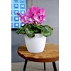 Tymar Flower Pot, Pack Of 2, Round Shape, Planter (2