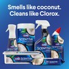 Clorox Scentiva Disinfecting Mist, Coconut and Waterlily, Refill, 16 Fluid