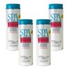 Spa Essentials 32538000-04 Alkalinity Increaser, 2-Pounds, 4-Pack