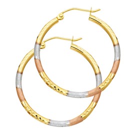 14k Tri Color Gold 2mm Thickness Tube Hoop Earrings (25 x 25 mm)