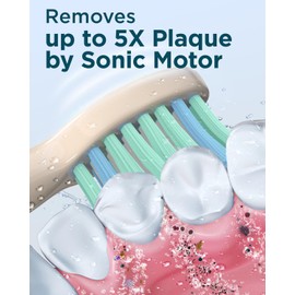 Rtauys M5 Sonic Electric Toothbrush for Adults - Rechargeable Electric Toothbrushes with 8 Brush Heads & Holder, Travel Case, Power Electric Toothbrush，3 Hours Charge for 120 Days - Champagne Gold