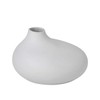 Blomus Vase-65971 Vase, Micro Chip, One Size