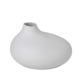 Blomus Vase-65971 Vase, Micro Chip, One Size