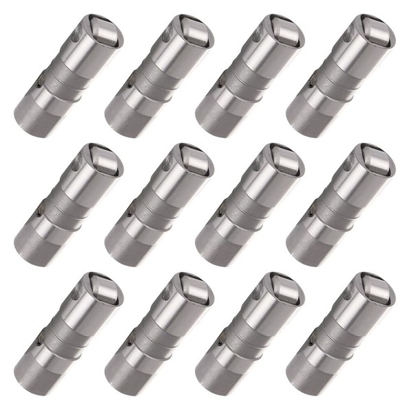 KFKGF 12PCS Engine Adjuster Hydraulic Lifters for Buick for LaCrosse 2005-2009 for Buick for Century 1986-1993 for Buick for Allure 2005-2009 Replace JB-2079