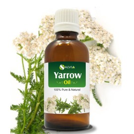 Yarrow Essential Oil (Achillea millefolium) Pure & Natural - Undiluted Uncut Premium Oil -Therapeutic Grade (50 ml (1.69 Fl Oz))