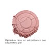 Rubor en polvo mate piel grasa/mixta, blush multiusos, larga duración