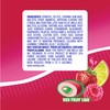 Mentos Sugar Free Gum, Red Fruit Lime, 50 Piece Bottle,