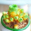 Lithops bonsai Living Stones Flower Succulent Cactus 100pcs/pack Mixed
