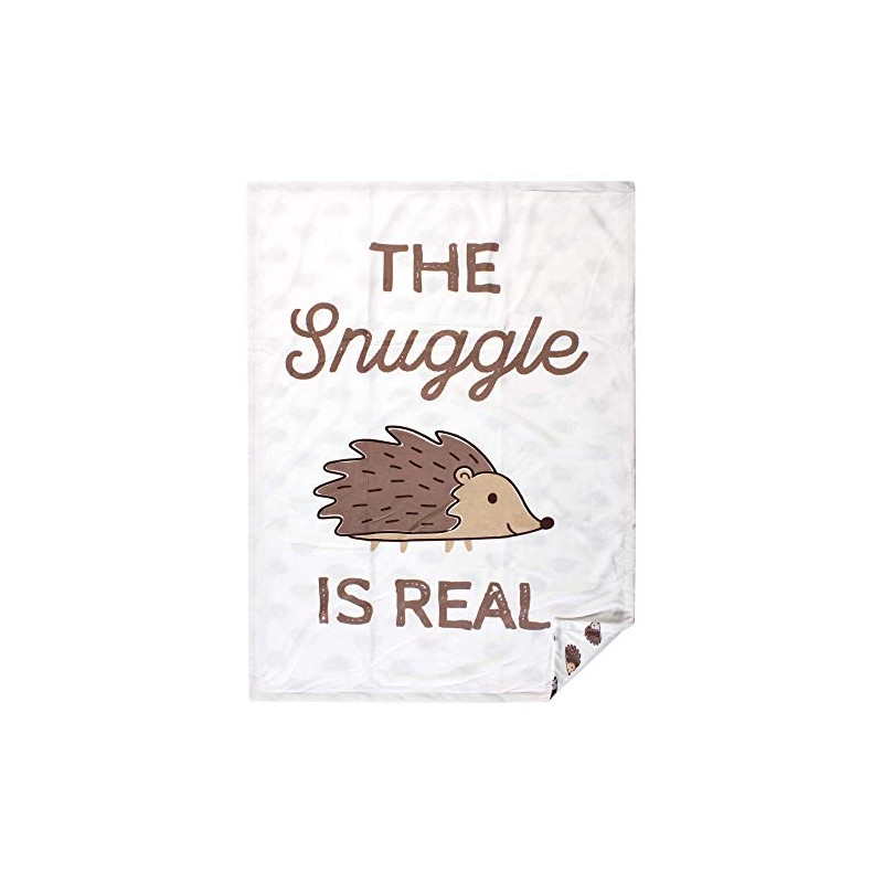 Hudson Baby Unisex Baby Plush Mink Blanket, Hedgehog, One Size